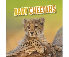 KNYGA Martha E. H. Rustad Baby Cheetahs