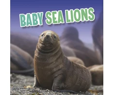 KNYGA Martha E. H. Rustad Baby Sea Lions