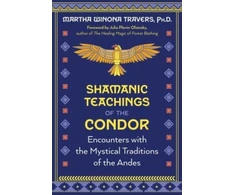 KNYGA Martha Winona Travers Shamanic Teachings of the Condor