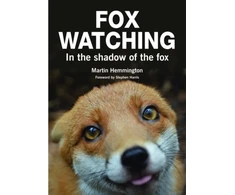KNYGA Martin Hemmington Fox Watching