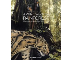 KNYGA Martin Jenkins Walk Through the Rainforest