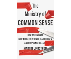 KNYGA Martin Lindstrom Ministry of Common Sense
