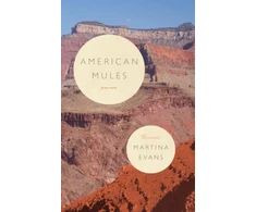 KNYGA Martina Evans American Mules