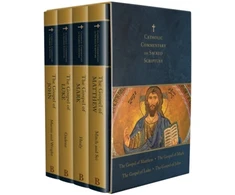 KNYGA Mary Healy Four Gospels Deluxe Boxed Set – Catholic Commentary on Sacred Scripture