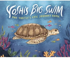 KNYGA Mary Wagley Copp Yoshi's Big Swim