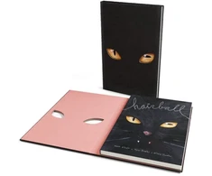 KNYGA Matt Kindt Hairball