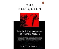 KNYGA Matt Ridley Raudona Queen