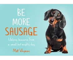 KNYGA Matt Whyman Be More Sausage