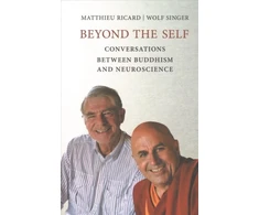 KNYGA Matthieu Ricard Beyond the Self