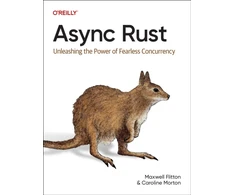 KNYGA Maxwell Flitton Async Rust