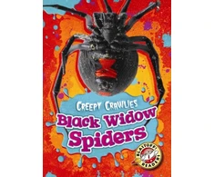KNYGA Megan Borgert Spaniol Juodas Widow Spiders