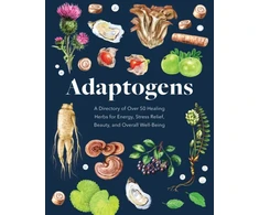 KNYGA Melissa Petitto Adaptogens