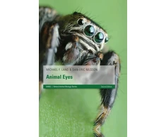 KNYGA Michael F Land Animal Eyes