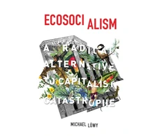 KNYGA Michael Lwy Ecosocialism