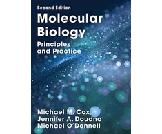 KNYGA Michael M Cox Molecular Biology