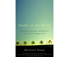 KNYGA Michael Stone Awake in the World