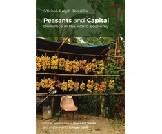 KNYGA Michel Rolph Trouillot Peasants and Capital