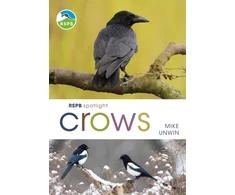KNYGA Mike Unwin RSPB Spotlight Crows