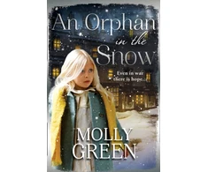 KNYGA Molly Green An Orphan in the Snow