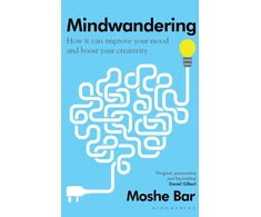 KNYGA Moshe Bar Mindwandering