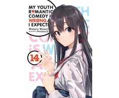 KNYGA My Youth Romantic Comedy Is Wrong, As I Expected, Vol. 14 (light novel)