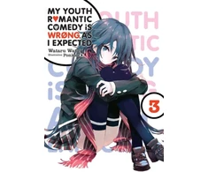 KNYGA My Youth Romantic Comedy Is Wrong, As I Expected, Vol. 3 (Novel)