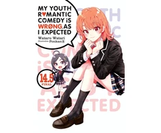 KNYGA My Youth Romantic Comedy Is Wrong, As I Expected, Vol. 14.5 (light novel)