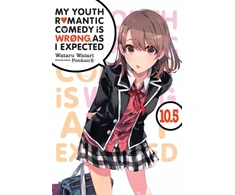 KNYGA My Youth Romantic Comedy Is Wrong, As I Expected, Vol. 10.5 (light novel)
