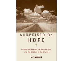 KNYGA N T Wright Surprised by Hope