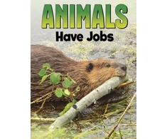 KNYGA Nadia Ali Animals Have Jobs