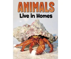 KNYGA Nadia Ali Animals Live in Homes