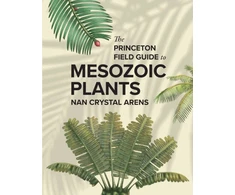 KNYGA Nan Crystal Arens Princeton Field Guide to Mesozoic Plants