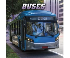 KNYGA Nancy Dickmann Autobusai