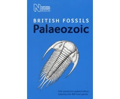 KNYGA Natural History Museum British Palaeozoic Fossils