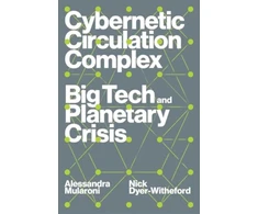 KNYGA Nick Dyer Witheford Cybernetic Circulation Complex, Big Tech and Planetary Crisis