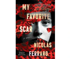 KNYGA Nicolas Ferraro My Favorite Scar