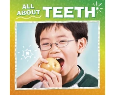 KNYGA Nicole A Mansfield All About Teeth