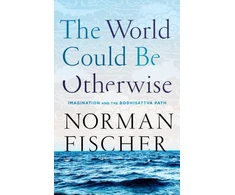 KNYGA Norman Fischer World Could Be Otherwise
