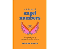 KNYGA Novalee Wilder Little Bit of Angel Numbers