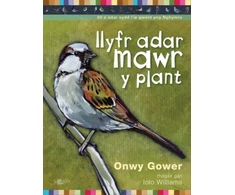 KNYGA Onwy Gower Llyfr Adar Mawr y Plant