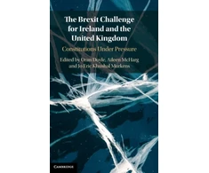 KNYGA Oran Doyle The Brexit Challenge for Ireland and the United Kingdom