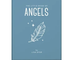 KNYGA Orange Hippo Little Book of Angels