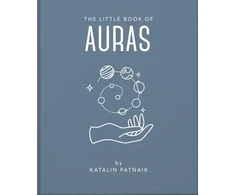 KNYGA Orange Hippo Little Book of Auras