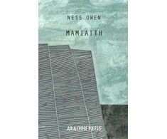KNYGA OWEN Mamiaith