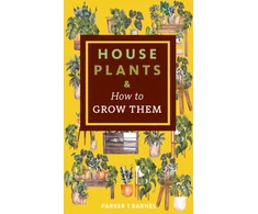 KNYGA Parker Houseplants &amp; How to Grow Them