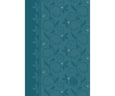 KNYGA Passion Fire Ministries Passion Translation New Testament with Psalms Proverbs and Song of Songs (2020 Edn) Compact Teal Faux Leather