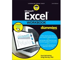 KNYGA Paul Mcfedries Excel Workbook For Dummies