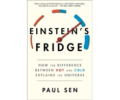 KNYGA Paul Sen Einstein's Šaldytuvas