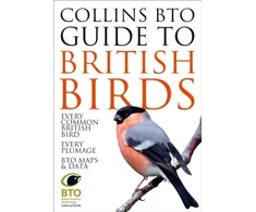 KNYGA Paul Sterry Collins BTO Guide to British Birds