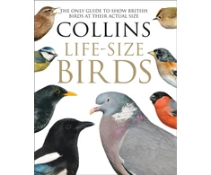 KNYGA Paul Sterry Collins Life-Size Birds